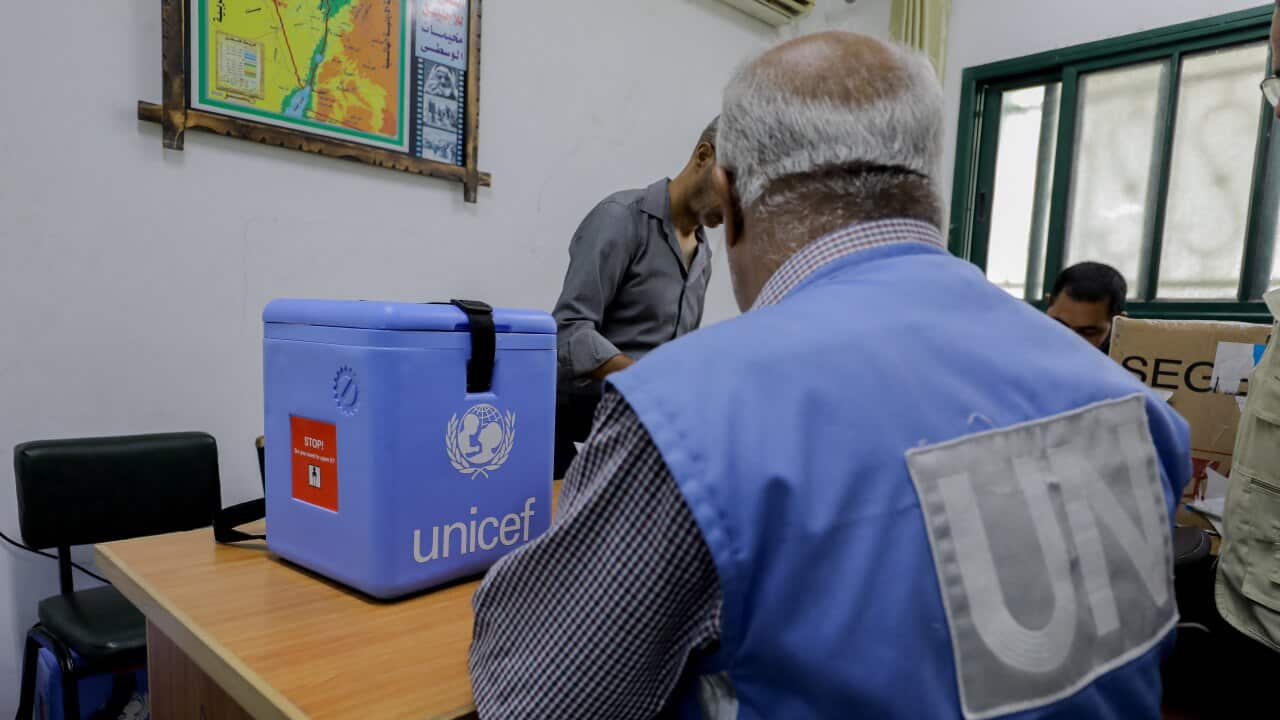 Image for read more article ''