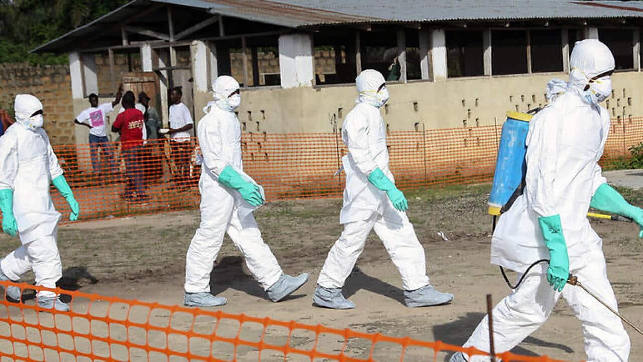 30072014_ebola_800x600.jpg