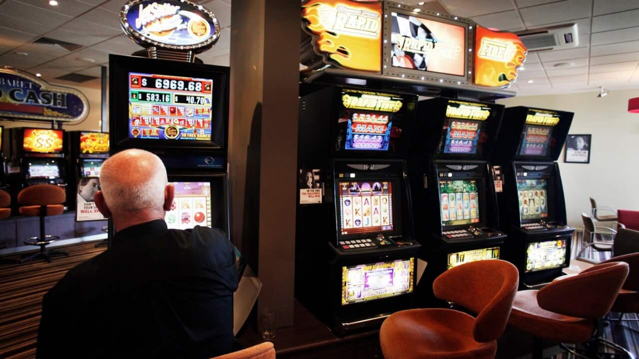 A man plays a pokie machine at a club in Altona, Melbourne