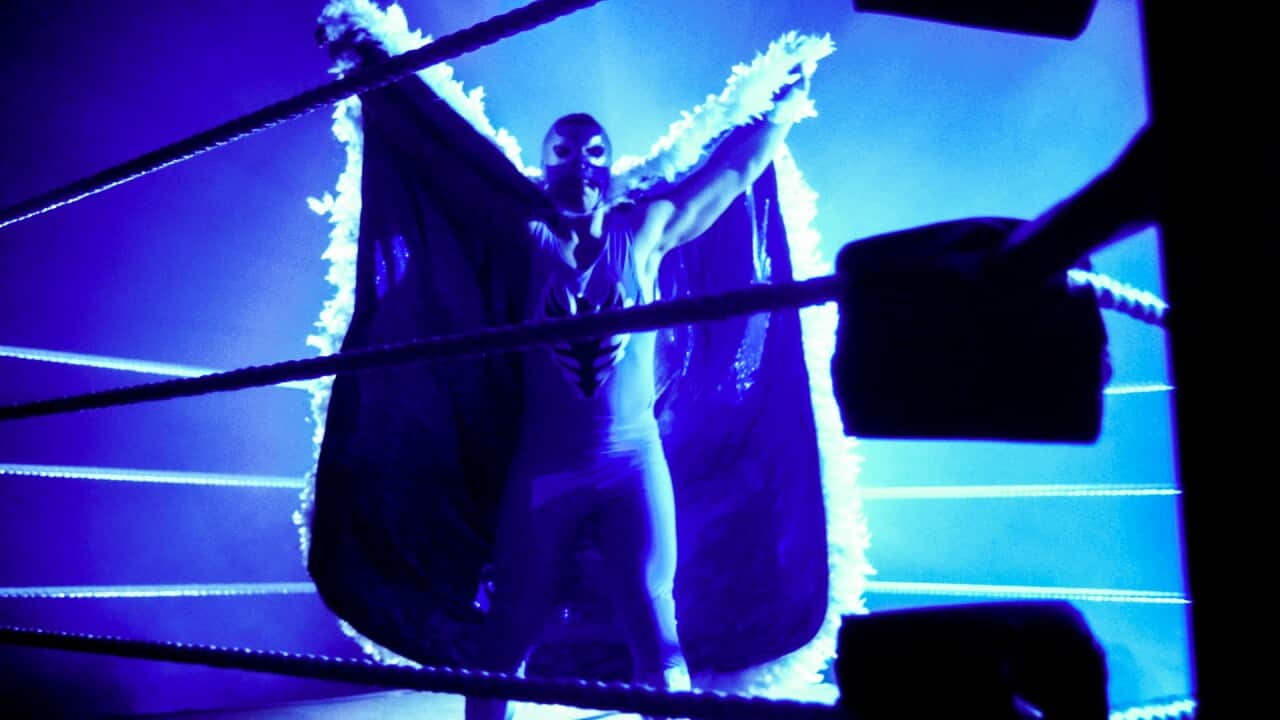 Dark Side of the Ring Confidential