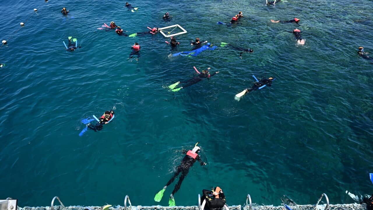 QUEENSLAND CAIRNS MOORE REEF
