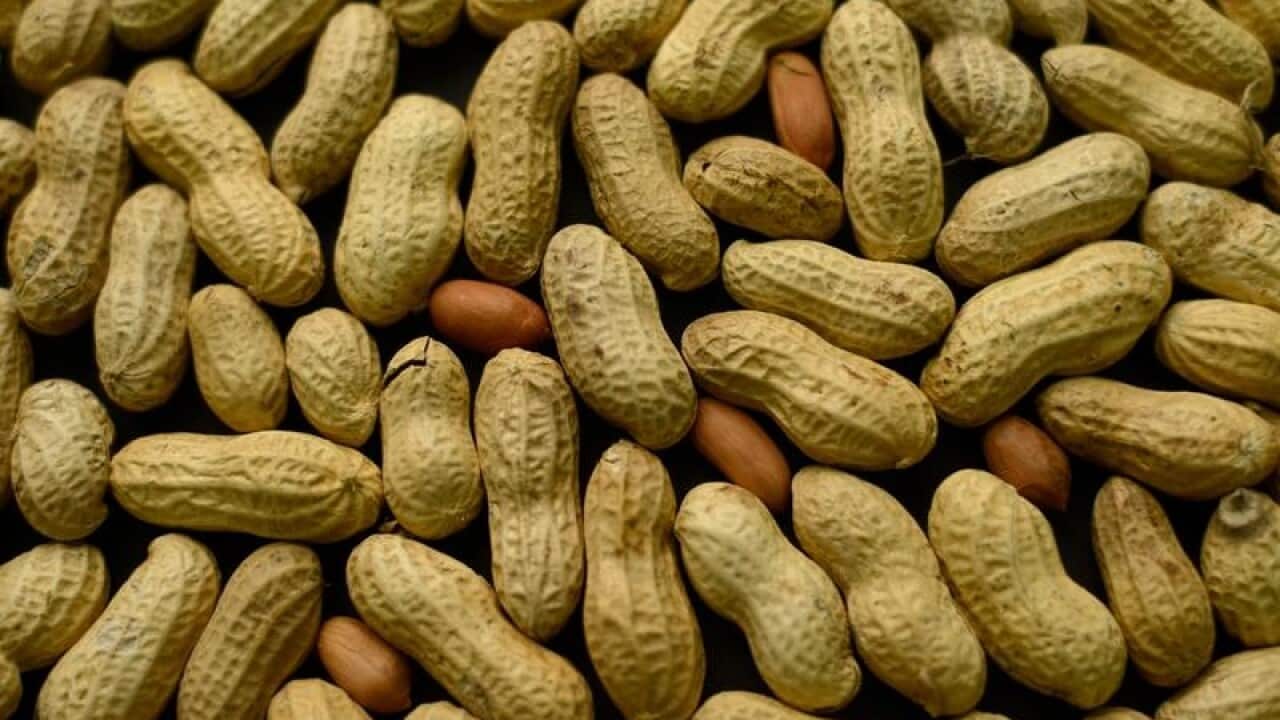 Peanuts