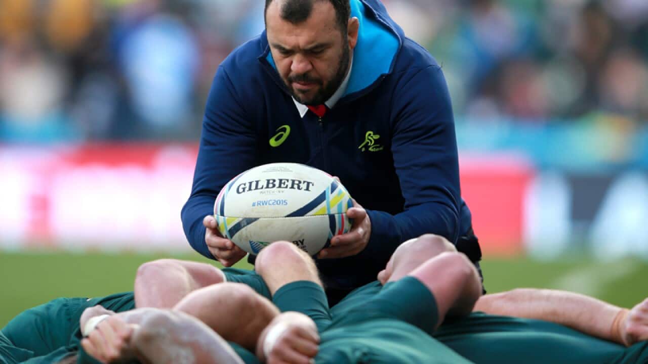 Australia head coach Michael Cheika