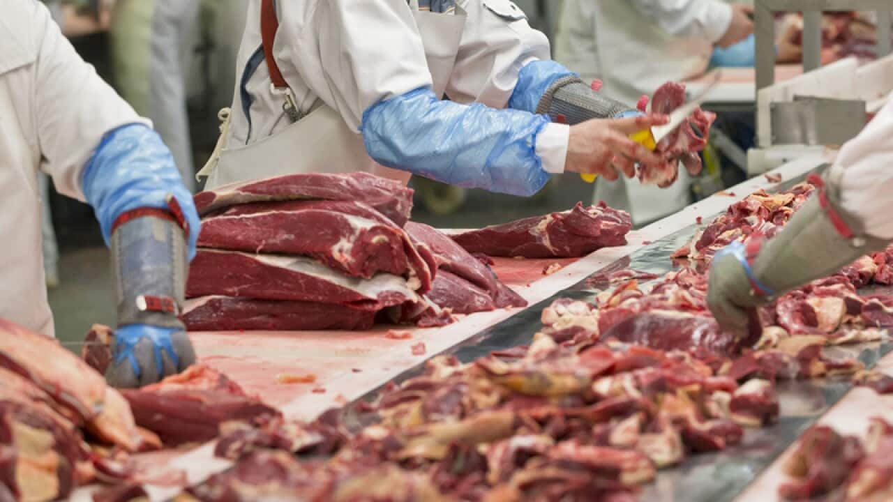 EU ministers tackle horsemeat scandal