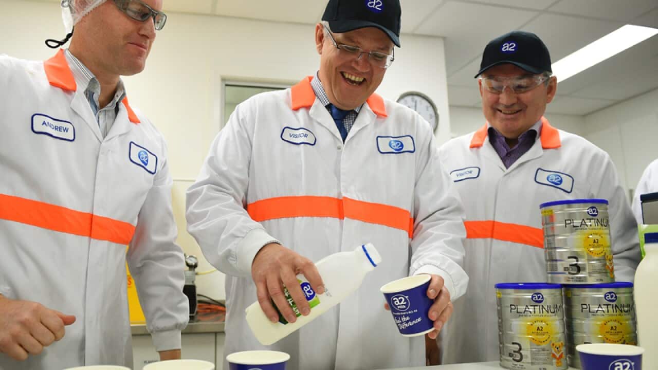 Treasurer Scott Morrison at an A2 Milk production factory