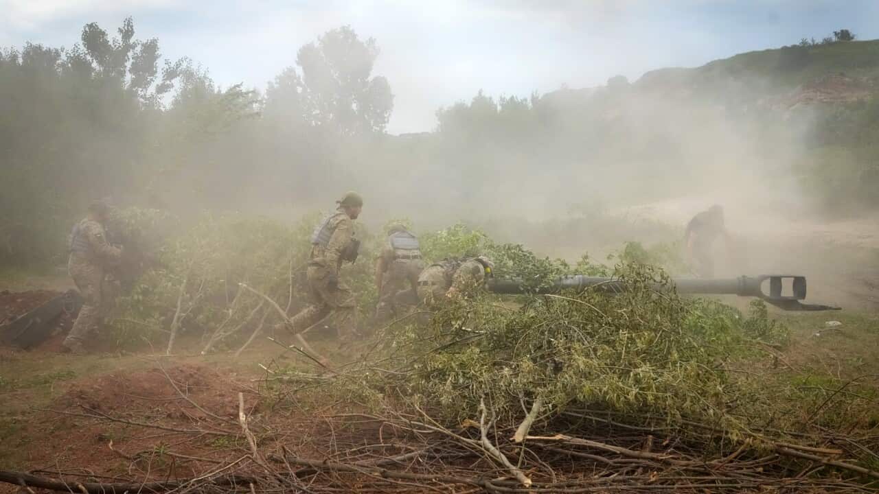 Ukrainian soldiers camouflage a U.S.-supplied M777 howitzer with tree branches after they fired at Russian position in Ukraine's eastern Donetsk region
