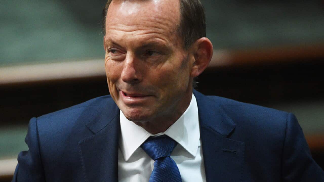 Former prime minister Tony Abbott