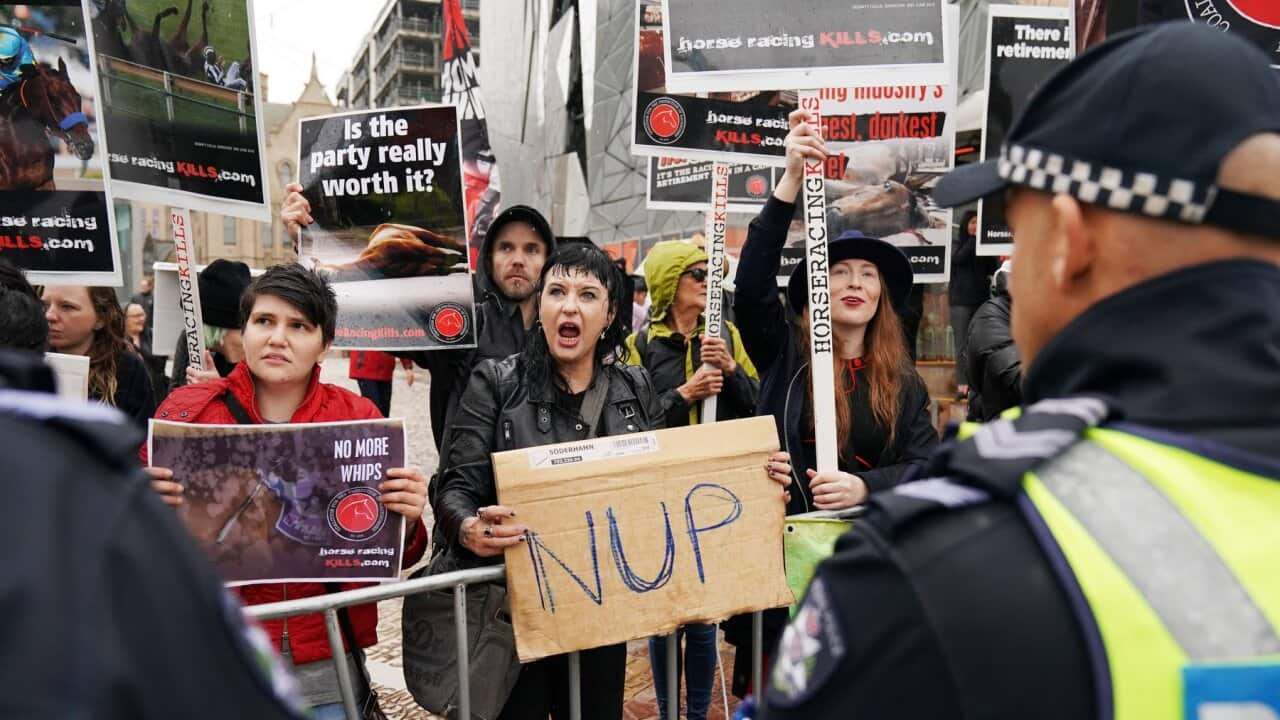 Image for read more article 'READ MORE'