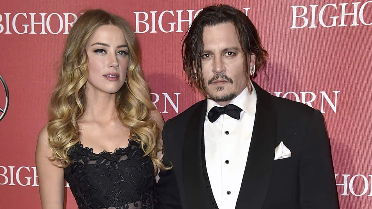 johnny depp amber heard