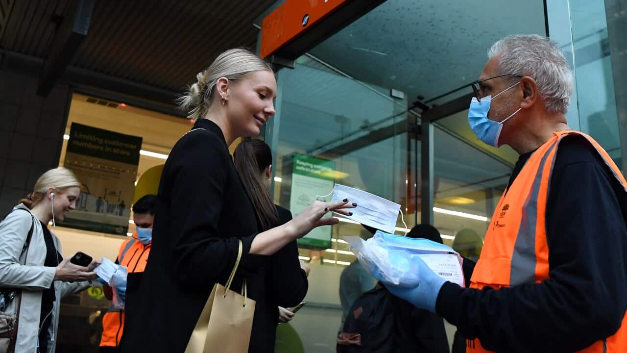 NSW Transport workers hand out face masks at Town Hall rail station in Sydney.
