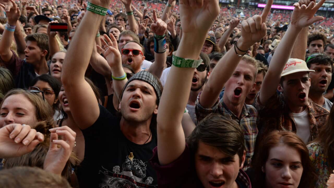 Music fans at a music festival