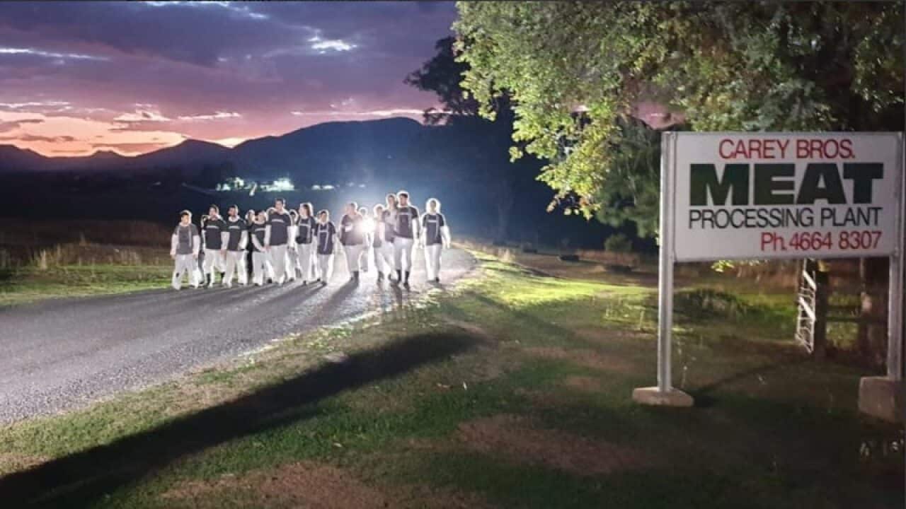 Animal rights activists at Queensland abbatoir protest.