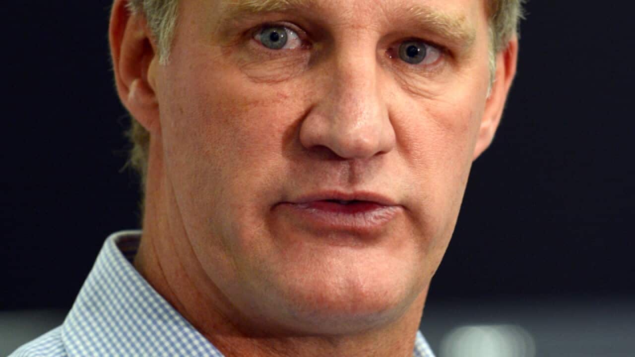 Wallabies great Michael Lynagh