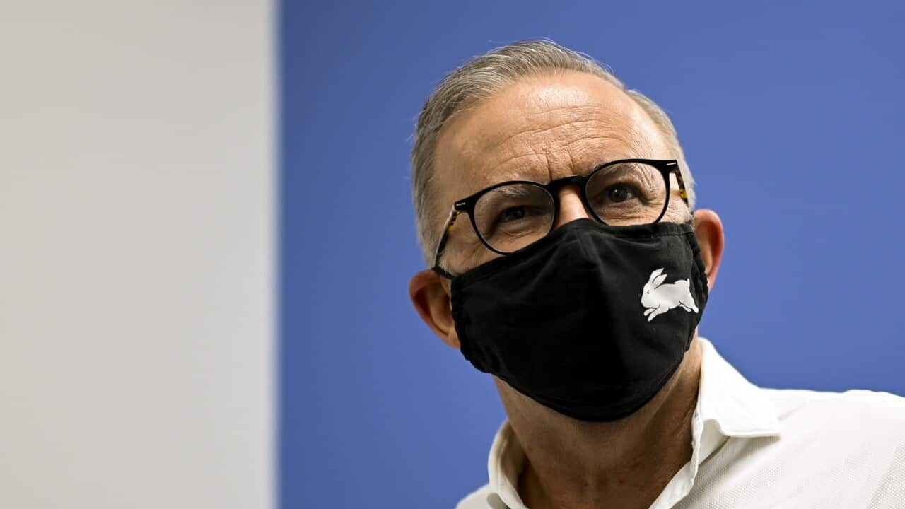 Opposition leader Anthony Albanese wears a face mask while campaigning in Cairns.