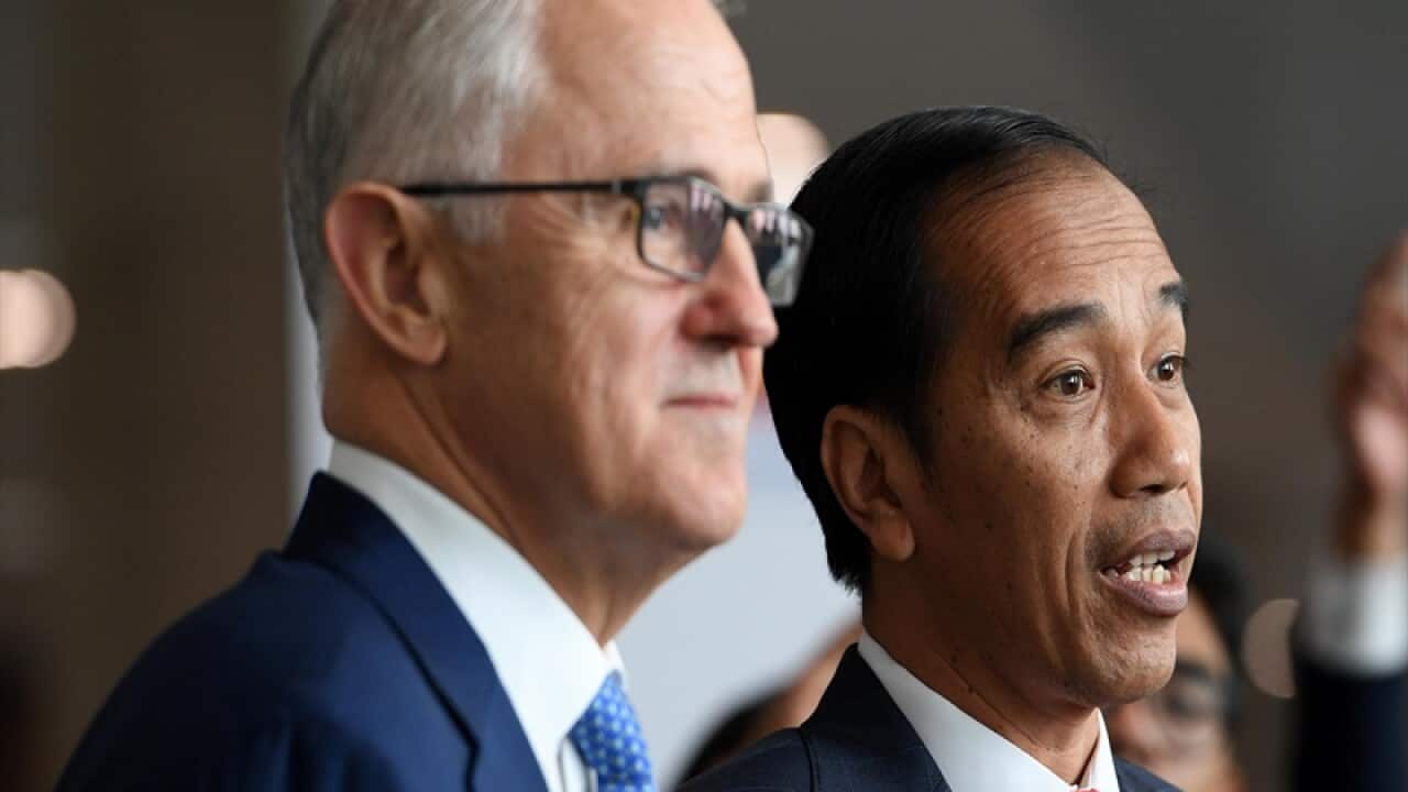 Malcolm Turnbull and Indonesian President Joko Widodo