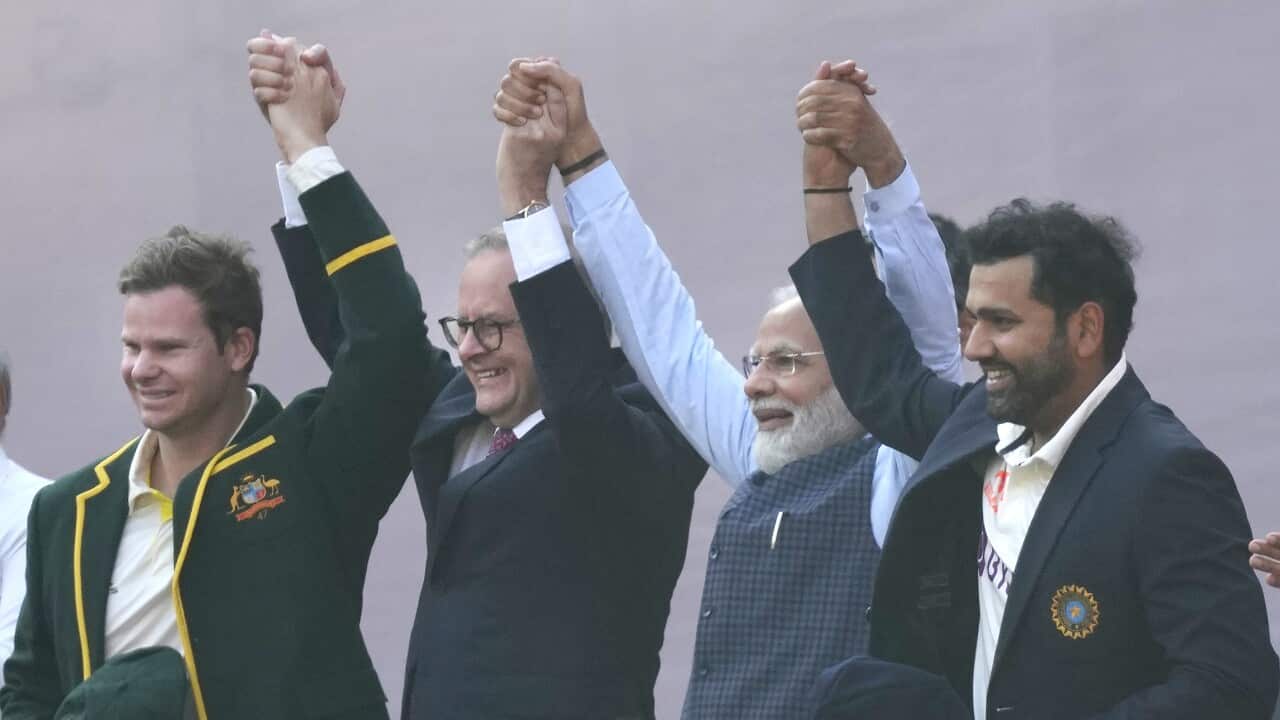 India Australia Cricket