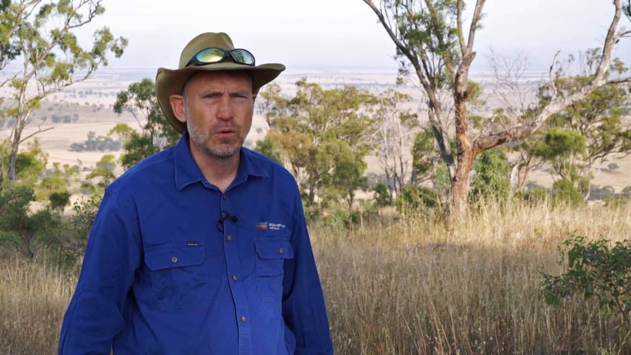 Jeroen van Veen manager bij LandLife, een bedrijf dat over de hele wereld bomen plant