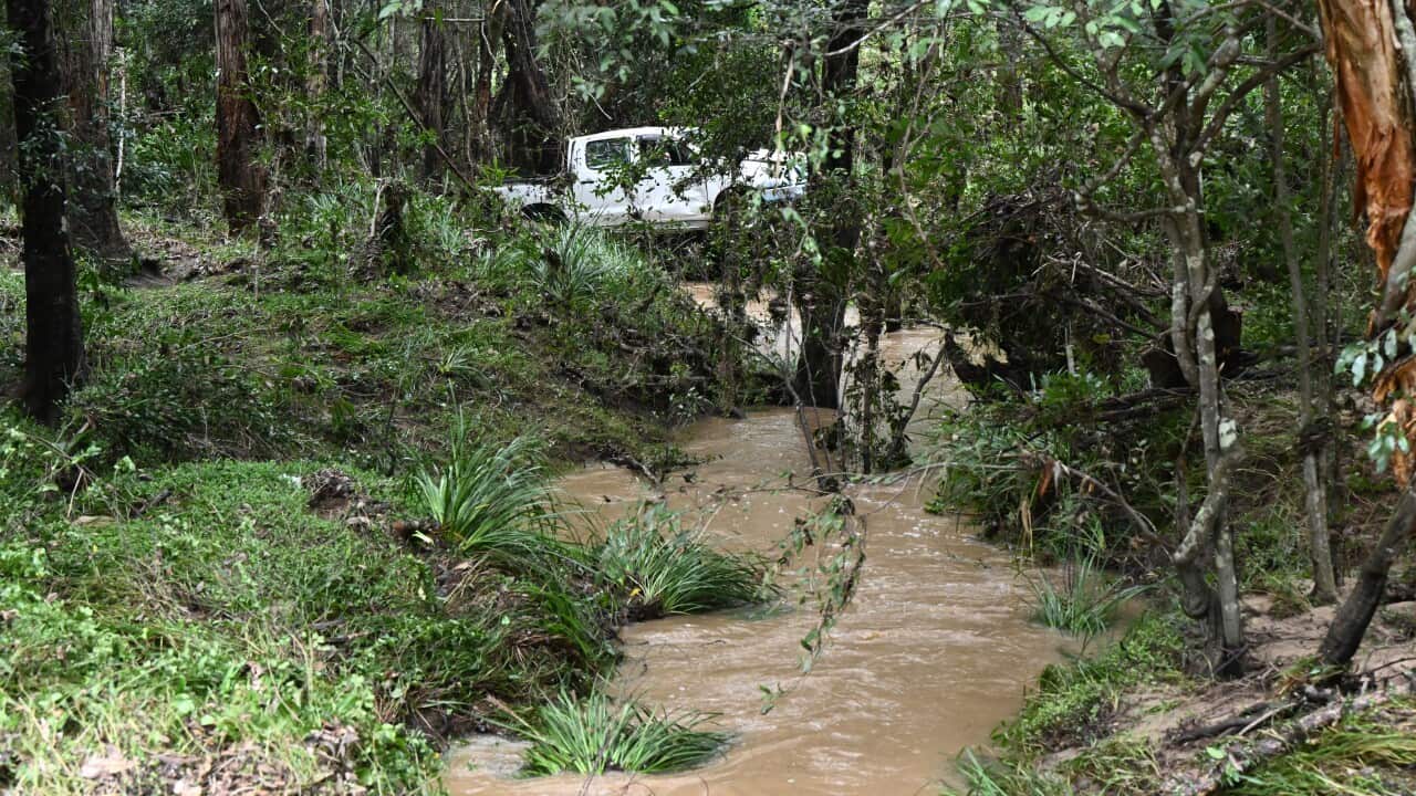 A white ute is sits near a muddy creek and lush vegetation.