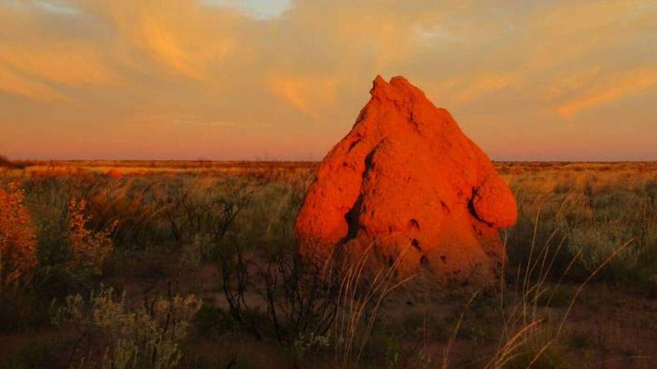 Country Needs People