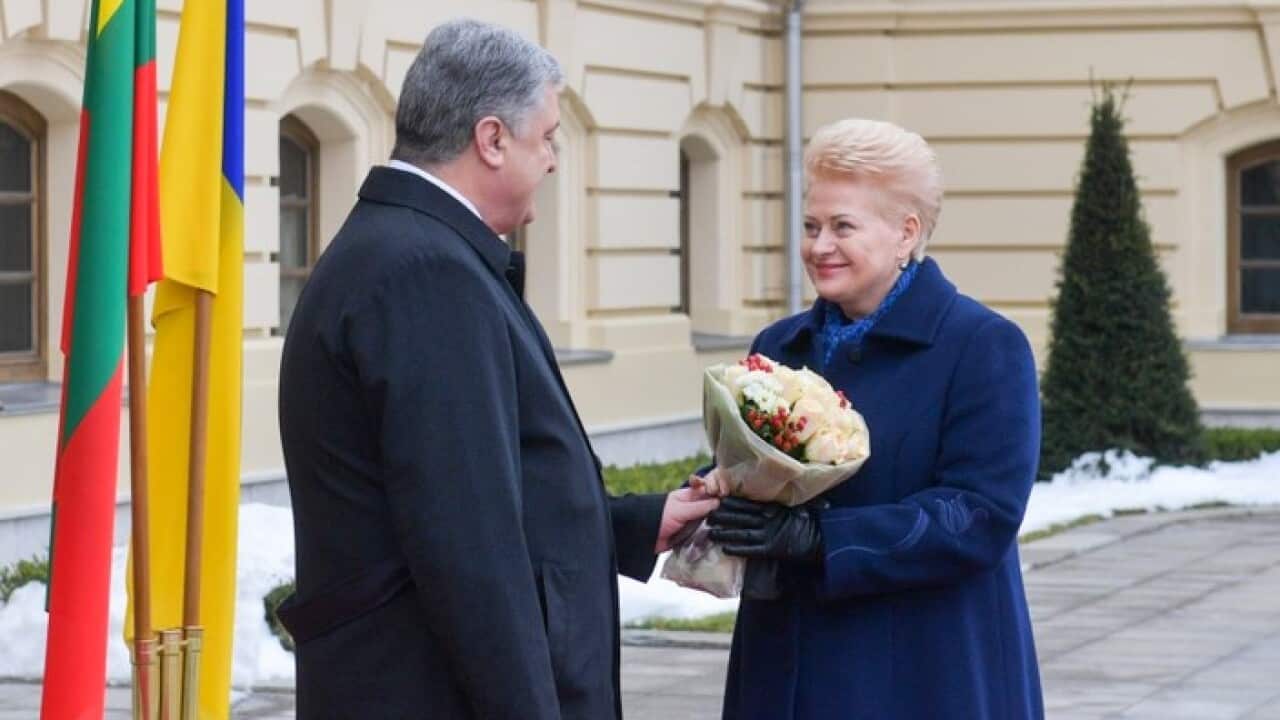 President of Ukraine Petro Poroshenko and President of the Republic of Lithuania Dalia Grybauskaitė
