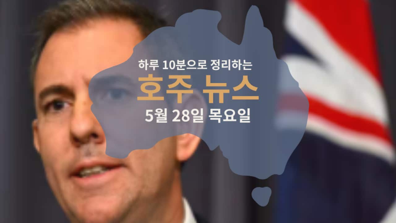 Daily News (3).png