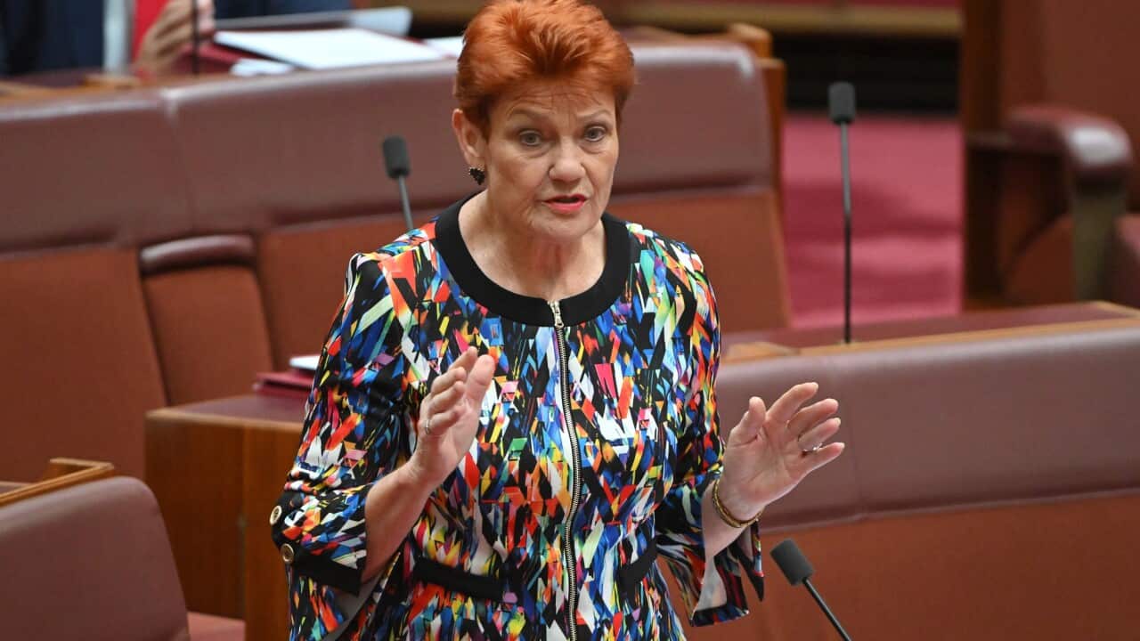 Cảnh sát Liên bang Úc nhận được các báo cáo liên quan đến những phát ngôn của Pauline Hanson về người Hồi giáo | SBS Vietnamese