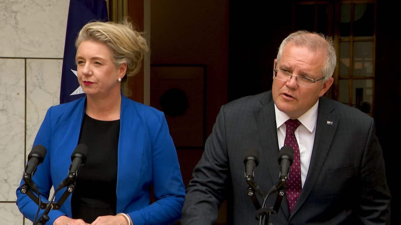 Prime Minister Scott Morrison is due to receive advice on Senator McKenzie.