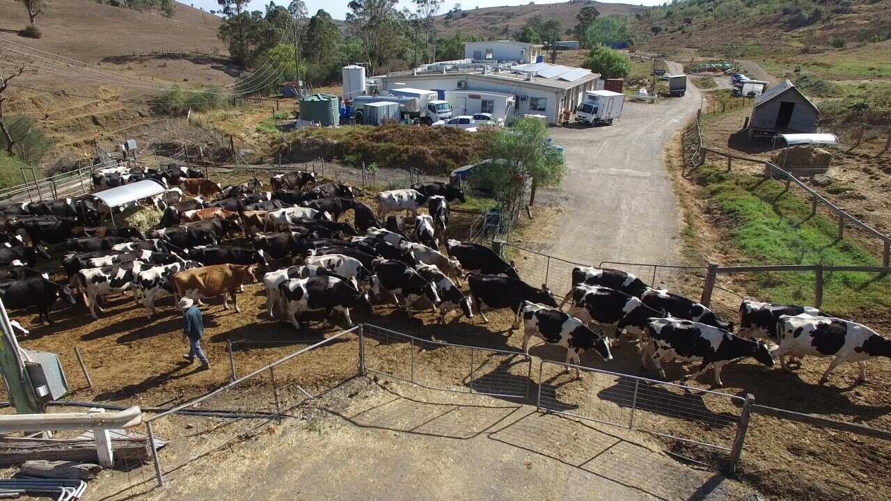The Fairley family farm has lasted seven generations and counting.