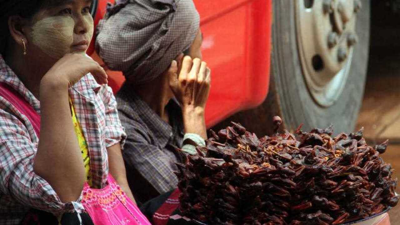In this photo taken on Thursday, Aug. 27, 2015, a vendor selling fried quails waits for customers at a bus station in Sagaing, central Myanmar. (AP)