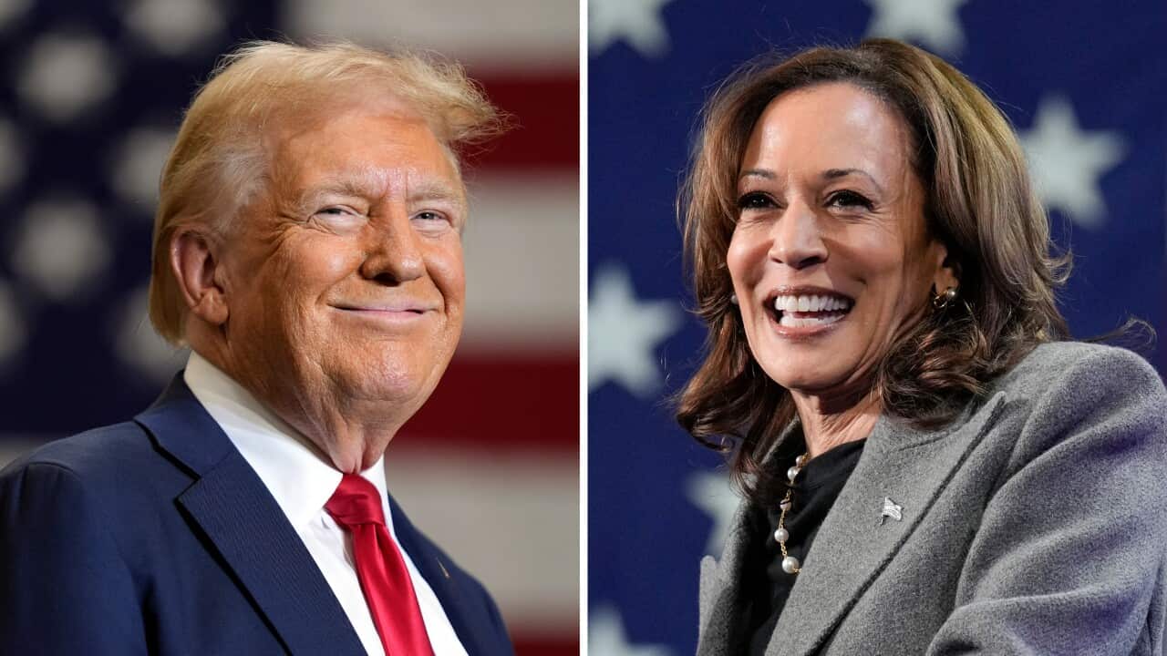 A split image showing Donald Trump and Kamala Harris