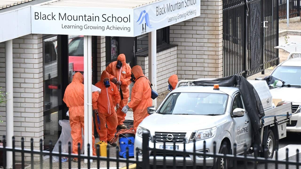 thumbnail_Asbestos removalists attend to Black Mountain School in Canberra (SBS).jpg