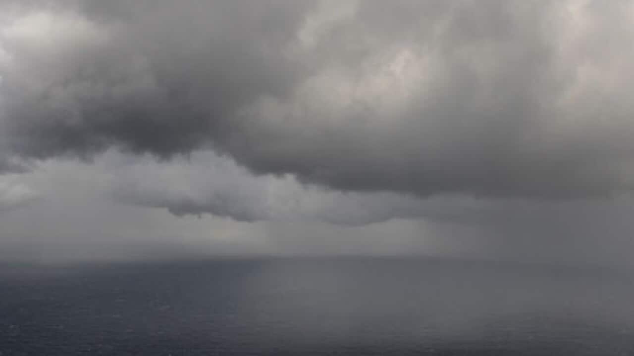 wildweather_nsw_100529_B_aap_2016360946