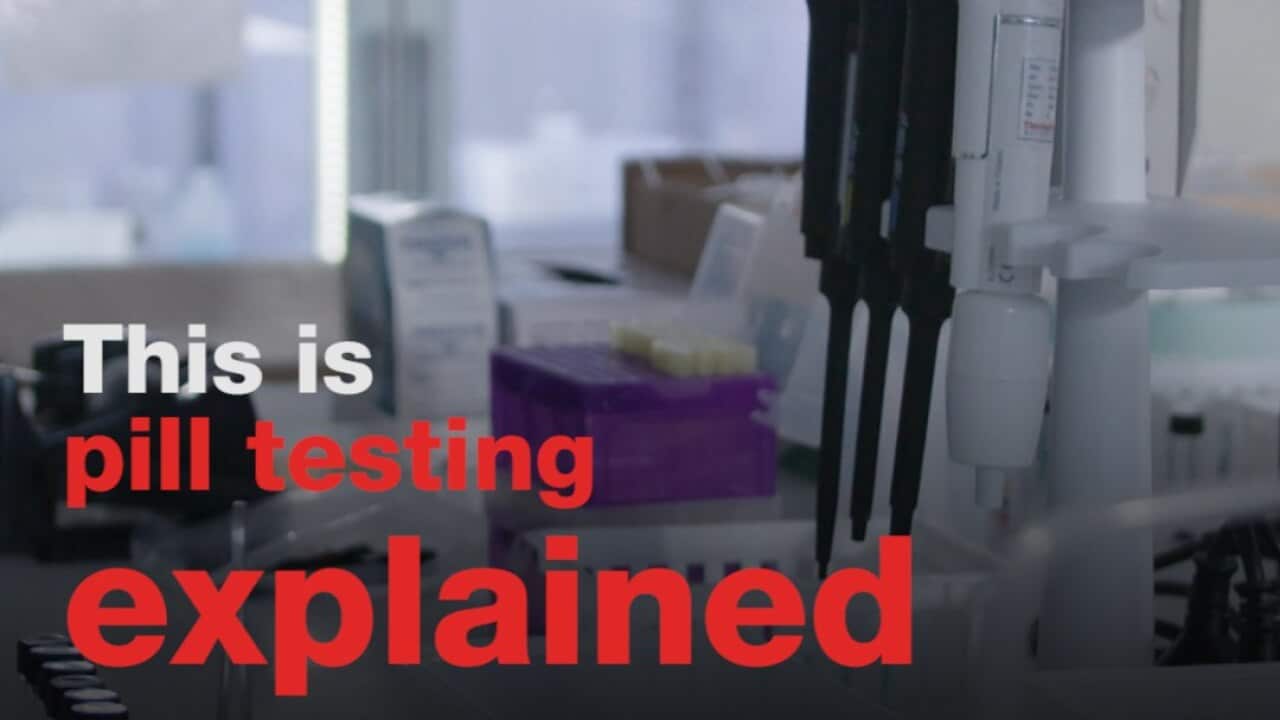 Pill testing: explained