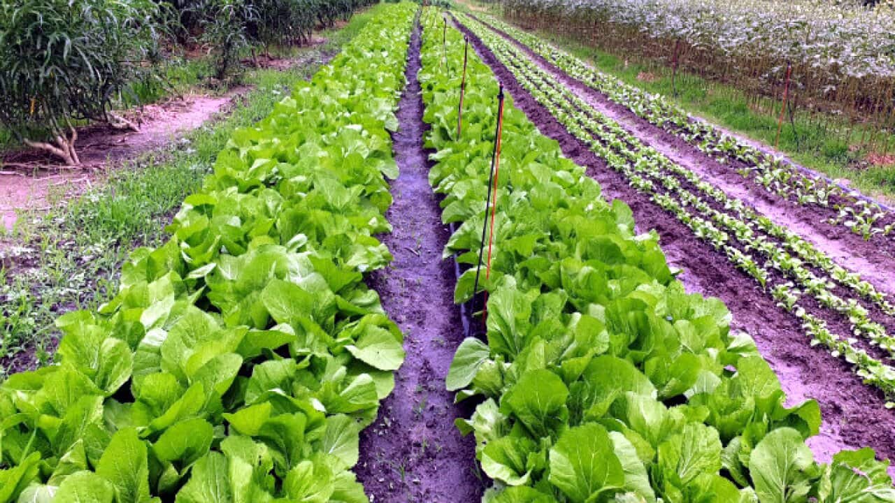 Image for read more article 'READ MORE'