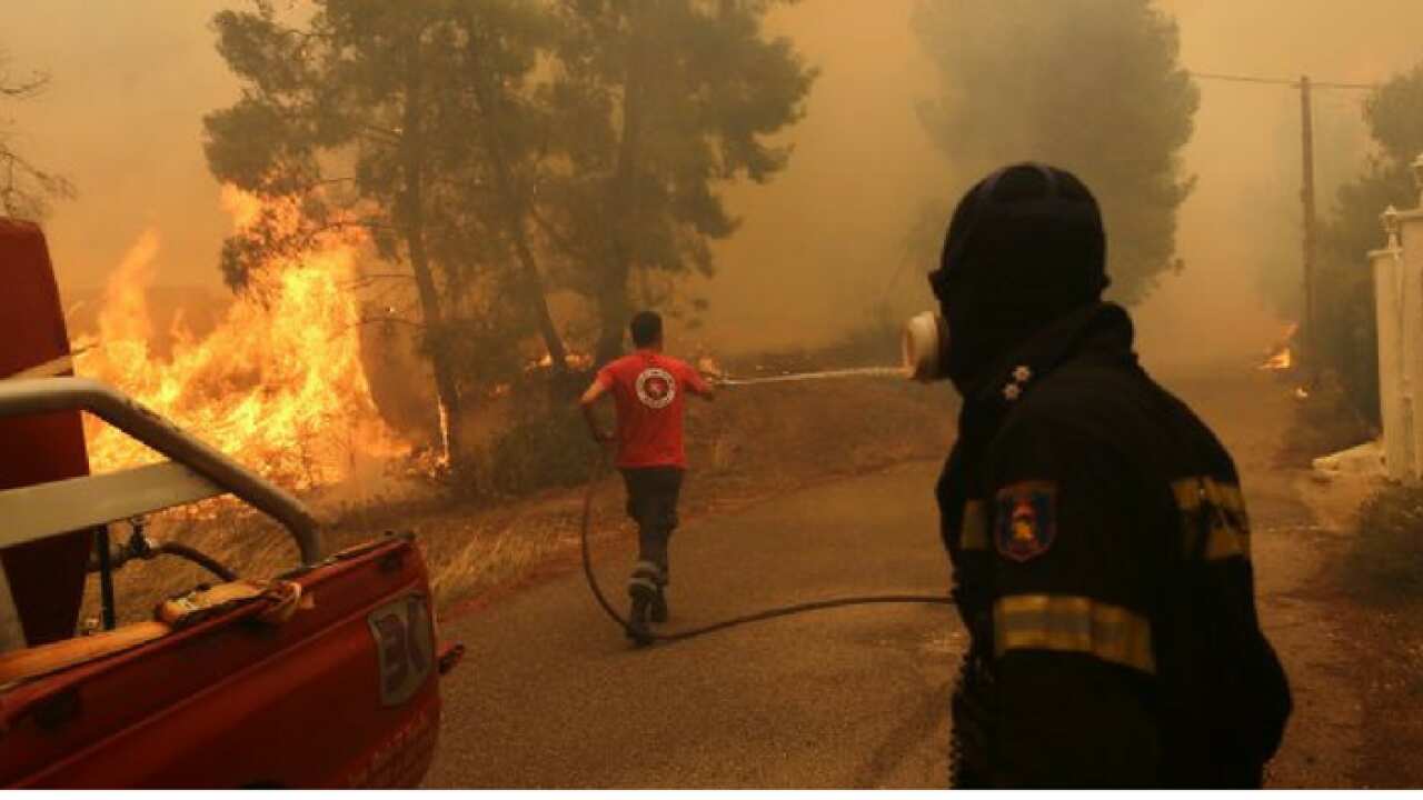 Image for read more article ''