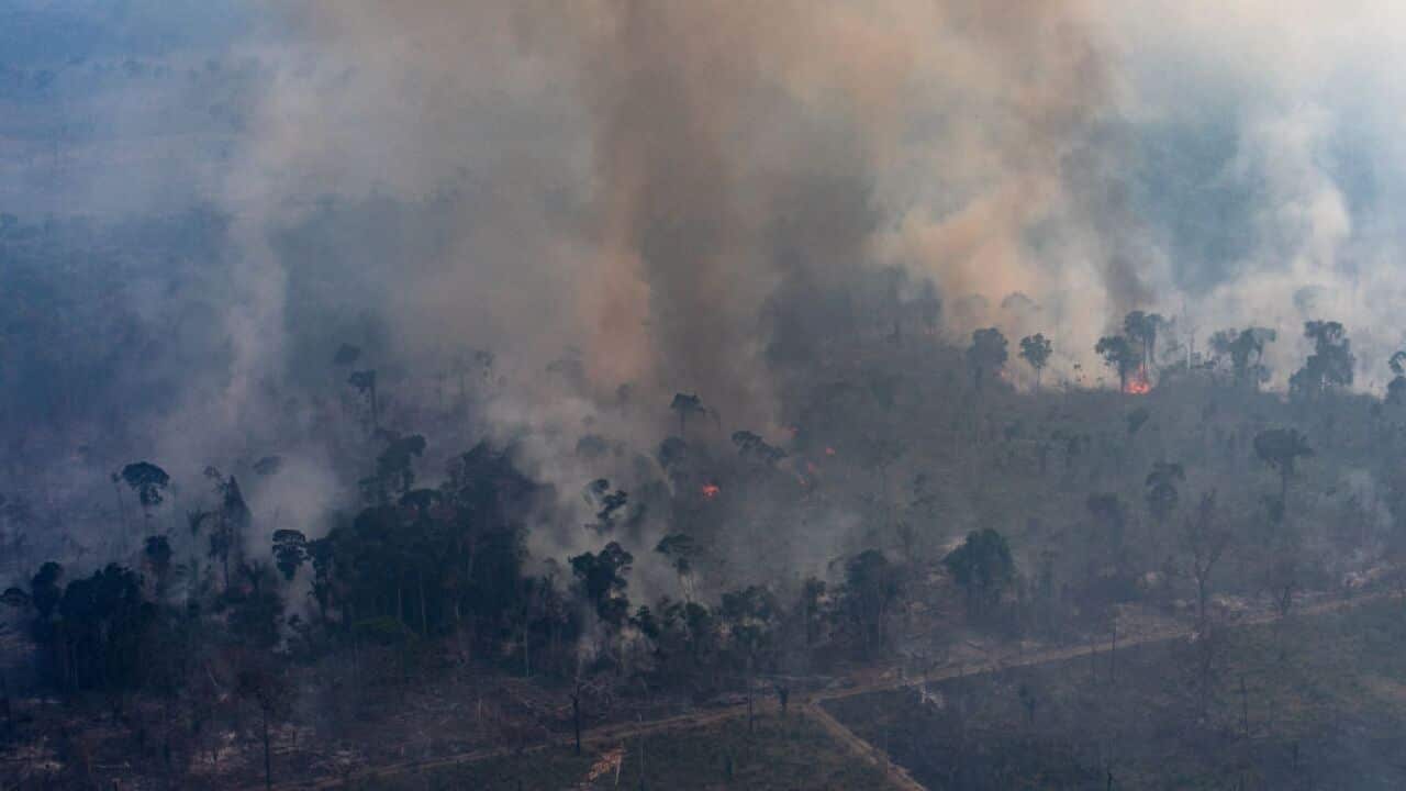 A fire burns in a section of the Amazon rainforest on August 25, 2019 in Porto Velho, Brazil.