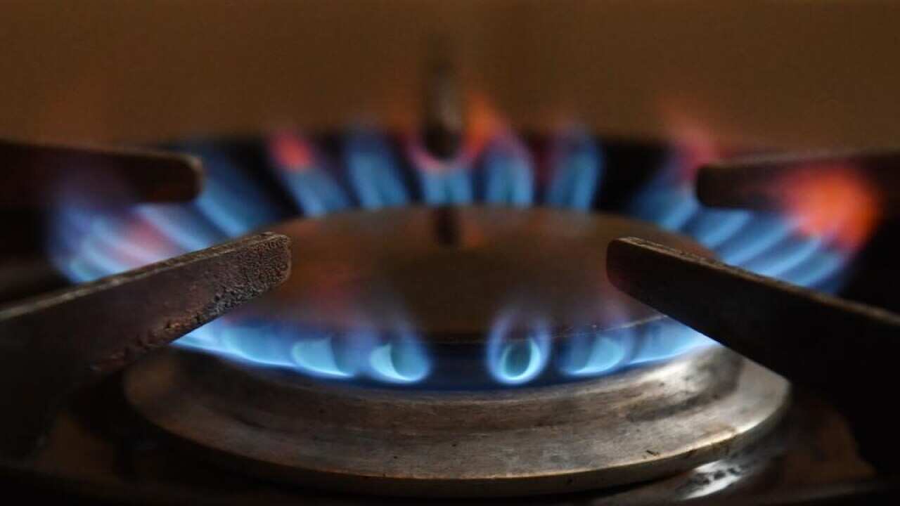 A gas burner is lit on a bench top cooker