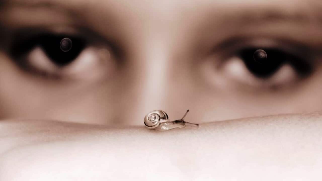 abenteuer lesen buch bücher kinderbuch kinderbücher literatur