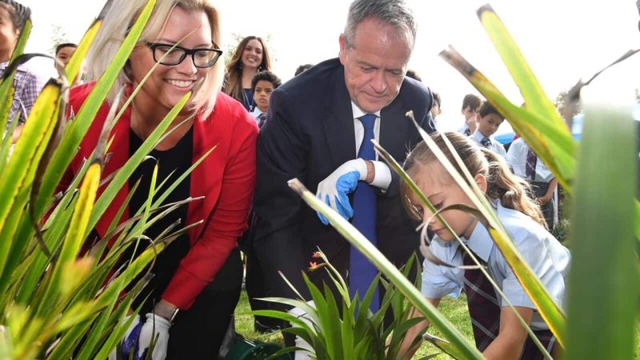 Labor candidate Hannah Beazley and Bill Shorten in a school garden.