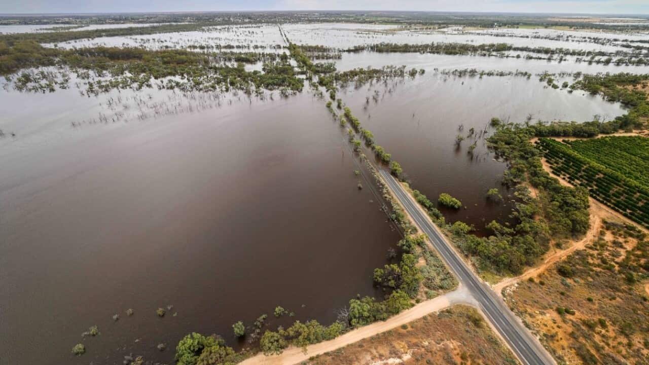 Rising floodwaters submerges the Bookpurnong Road, which connects two Riverland towns in South Australia.