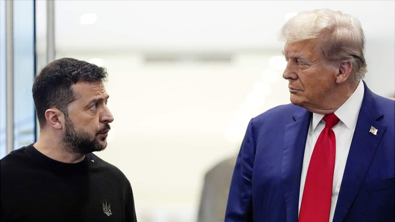 Volodymyr Zelenskyy (left), wearing a black crew-neck shirt, is standing next to and looking at Donald Trump (right) who is wearing a blue suit and red tie.