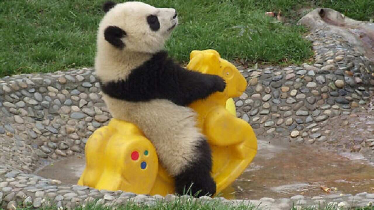 Image for read more article ''