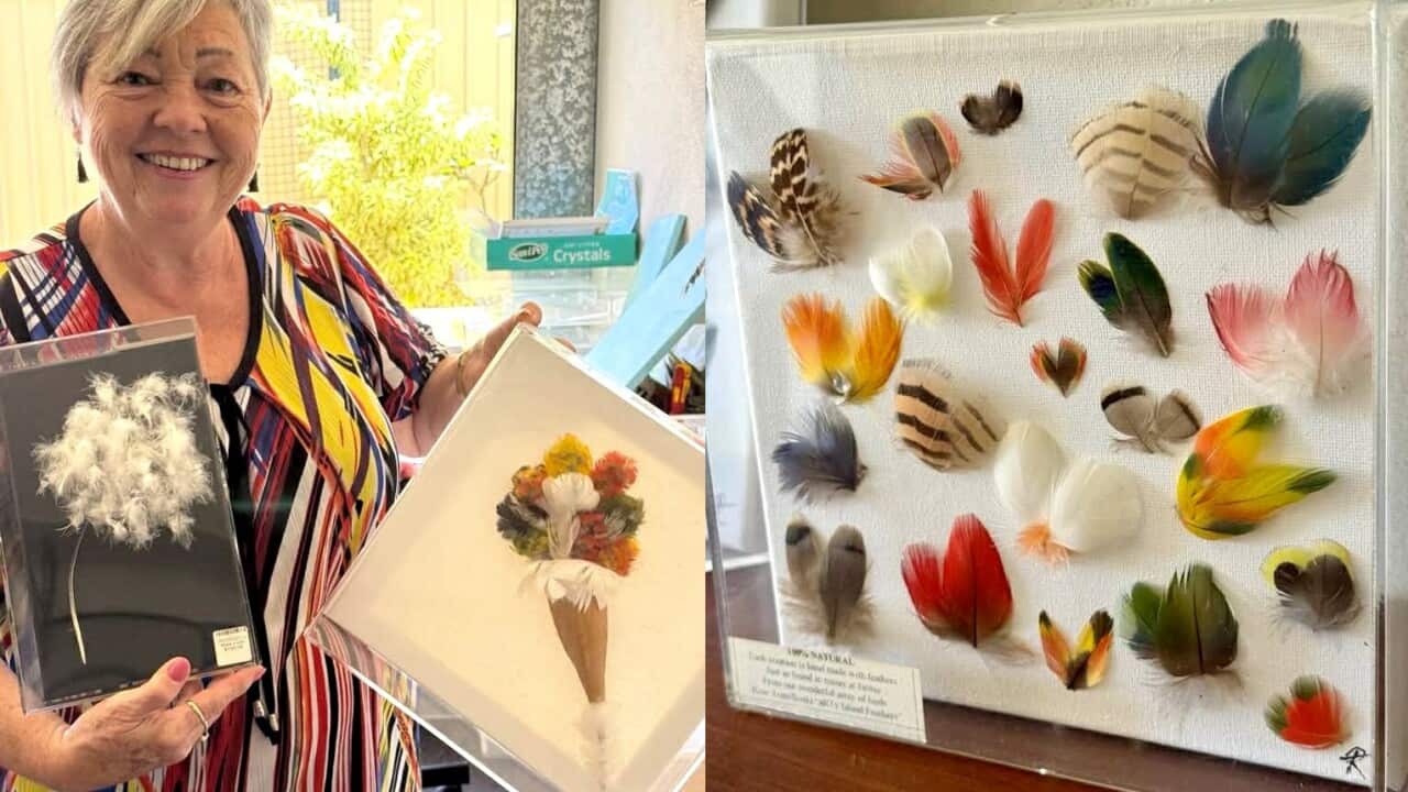 Rose Temelkoski web foto.jpg