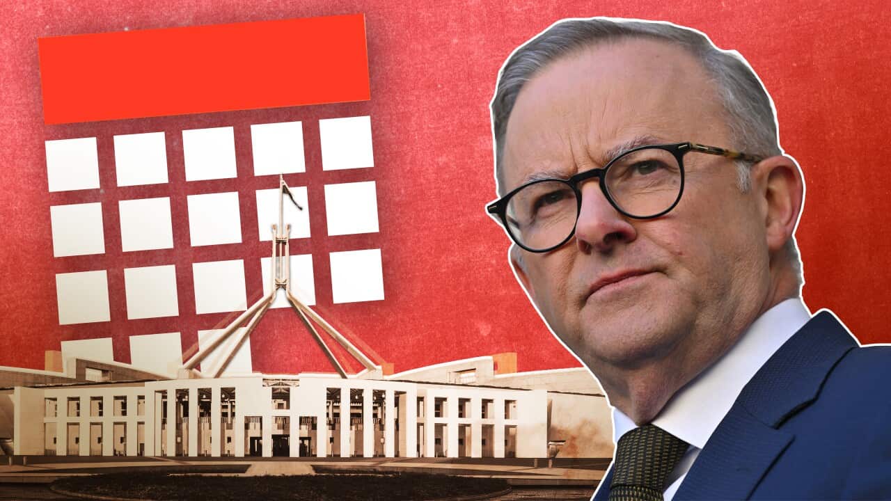 Graphic art of Parliament House with Anthony Albanese to the right