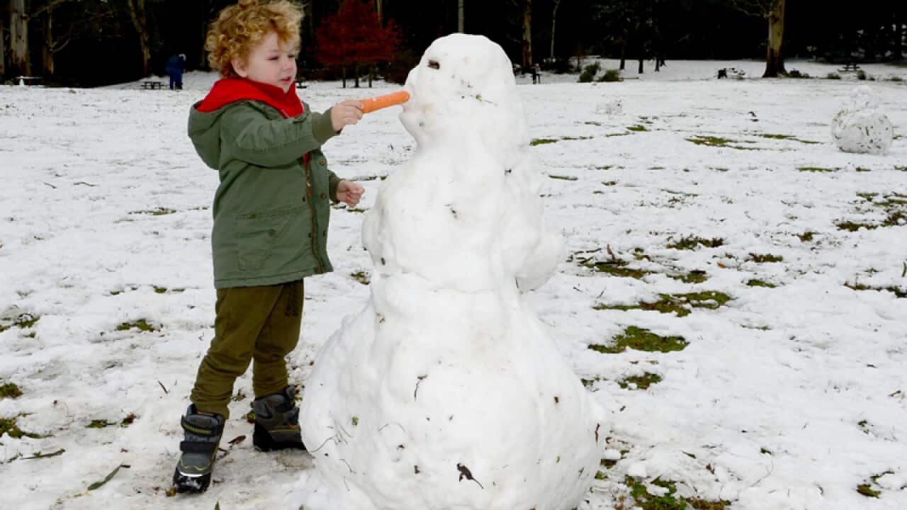 A child makes a snowman at Mount Macedon, Victoria