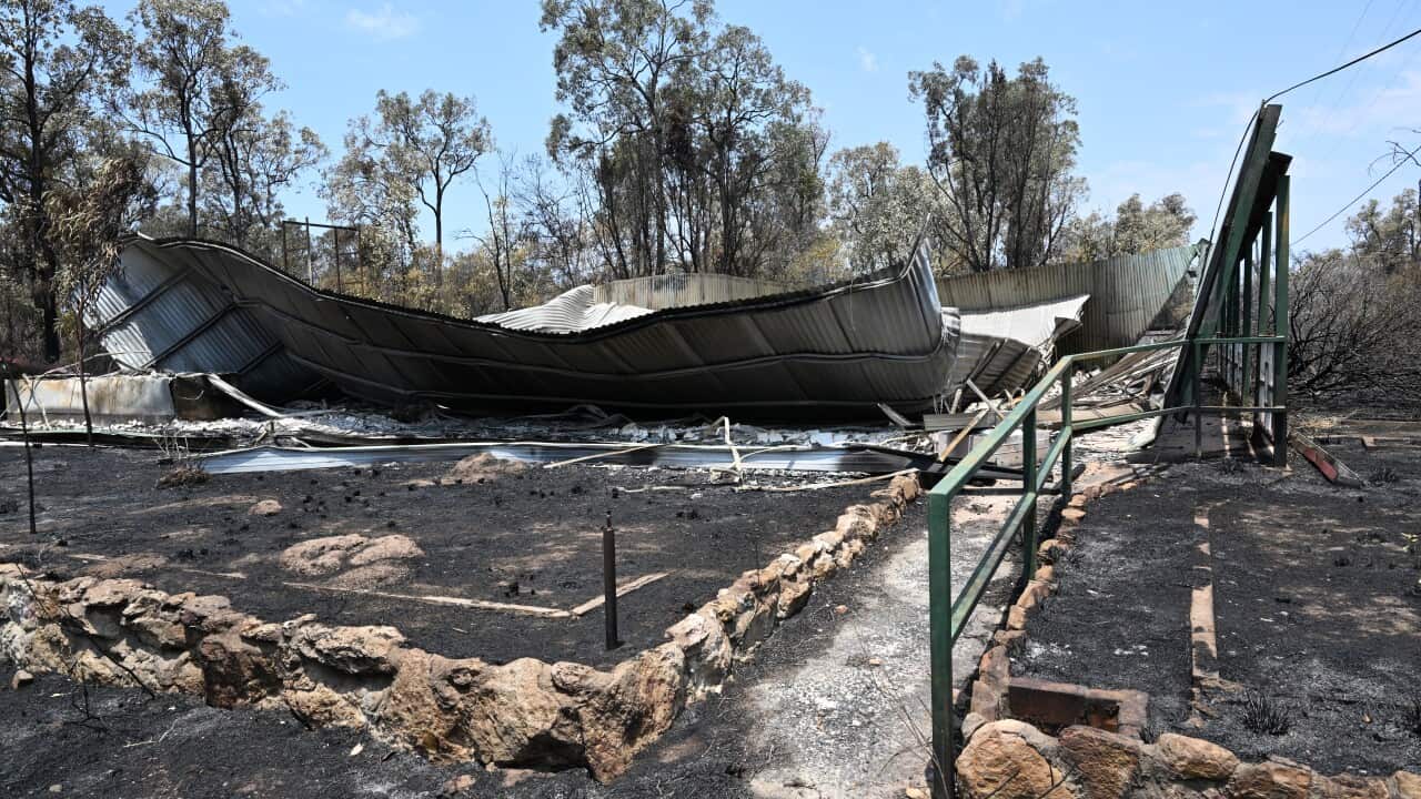 BUSHFIRES QLD