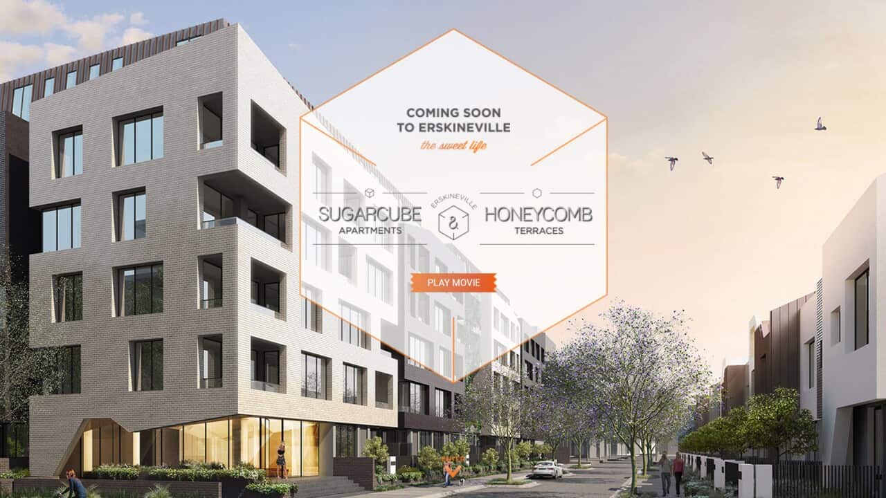 Image for read more article 'READ MORE'