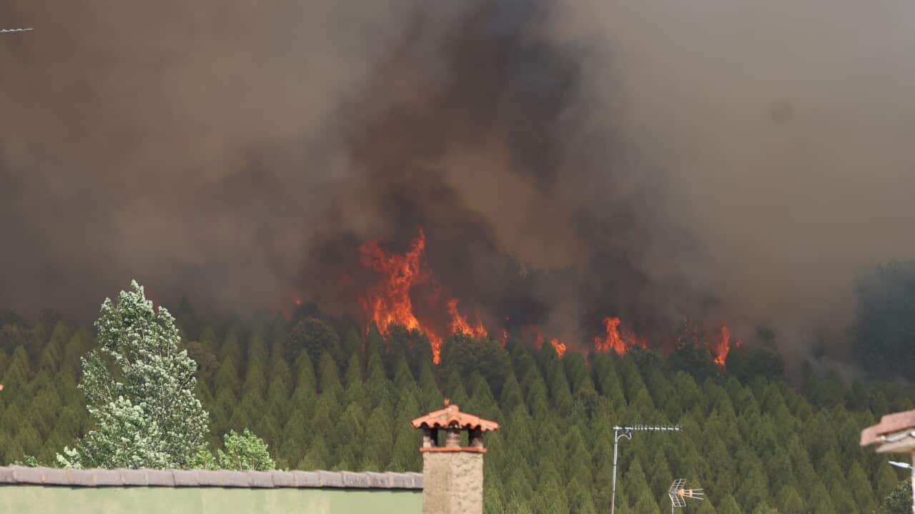 Spain Faces the Largest Forest Fire in Its History
