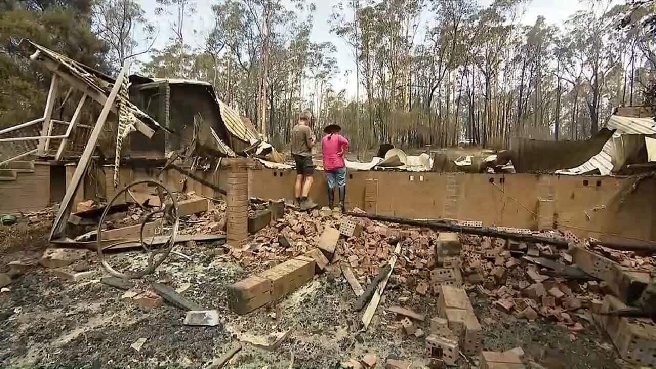 Australia's horrific summer of bushfires marked the beginning of the decline.