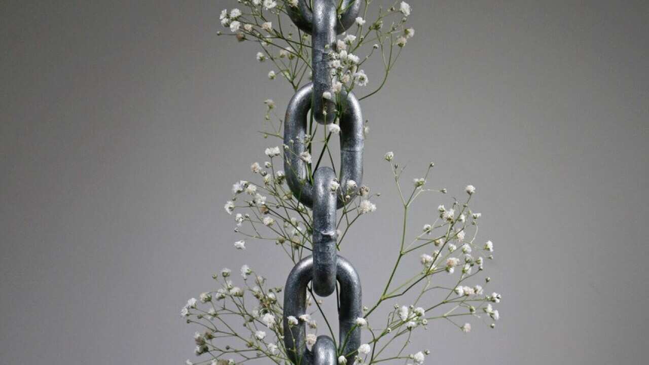 Jun Evrim